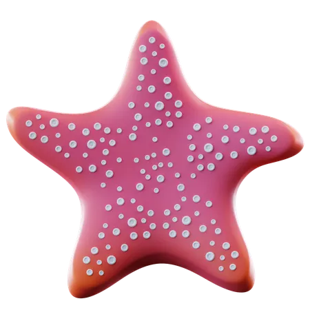 Star Fish  3D Icon