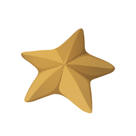 Star Fish 3D Illustration