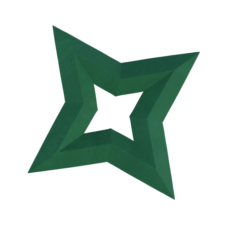 Star Shape  3D Icon