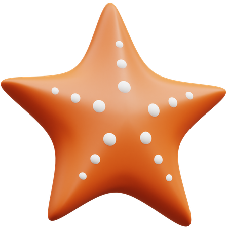 Star shell  3D Icon