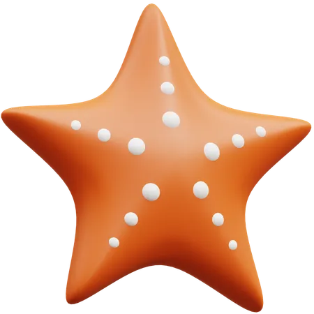 Star shell  3D Icon