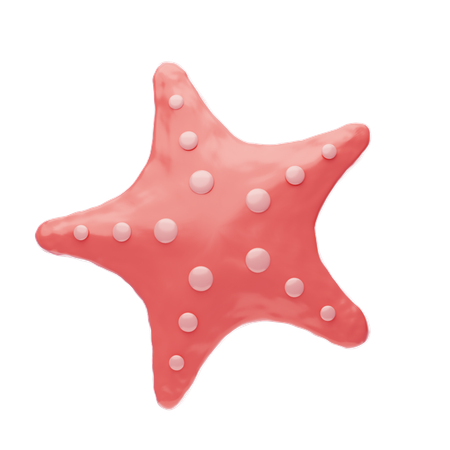 Starfish  3D Icon
