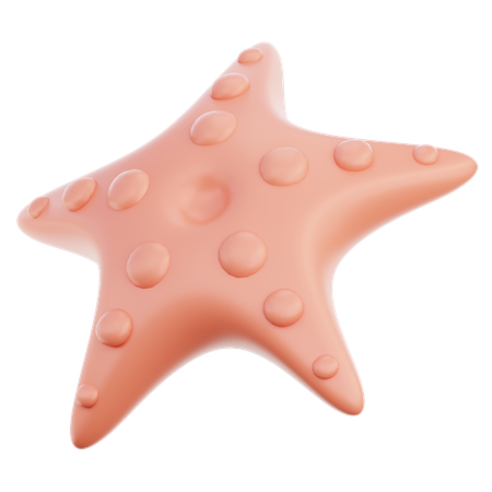 Starfish  3D Icon