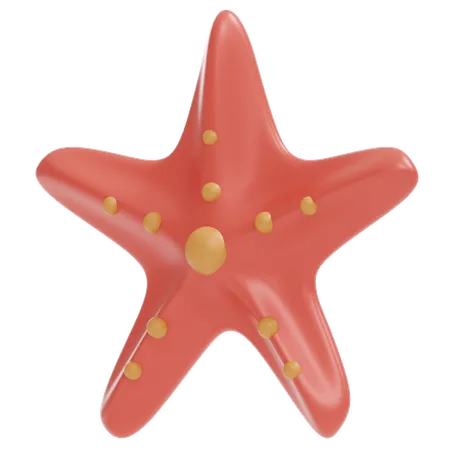 STARFISH  3D Icon