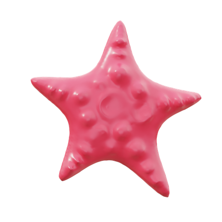 Starfish  3D Icon