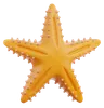 Starfish