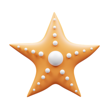 Starfish  3D Icon