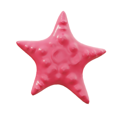 Starfish  3D Icon