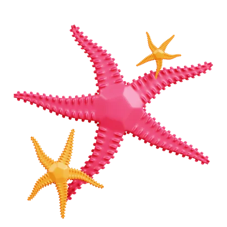 Starfish  3D Icon