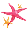 Starfish