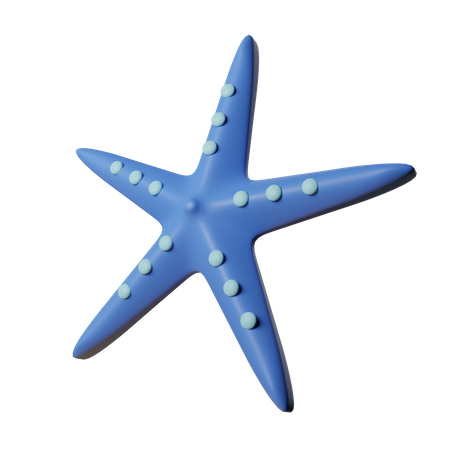 Starfish  3D Icon