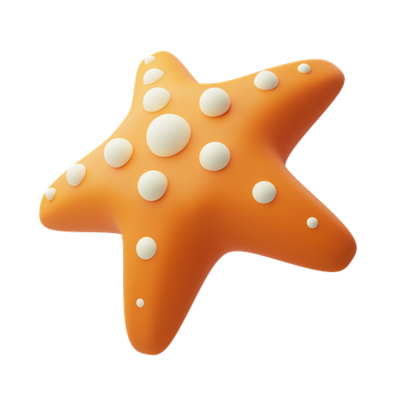 Starfish  3D Icon