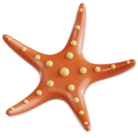 Starfish  3D Icon