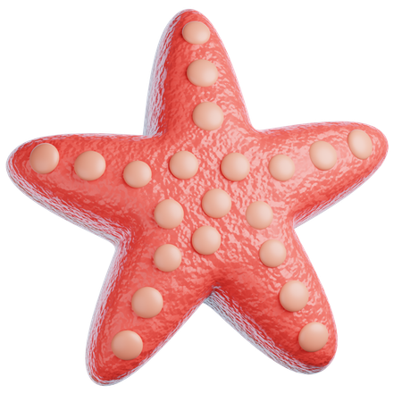 Starfish  3D Icon