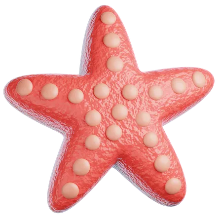 Starfish  3D Icon