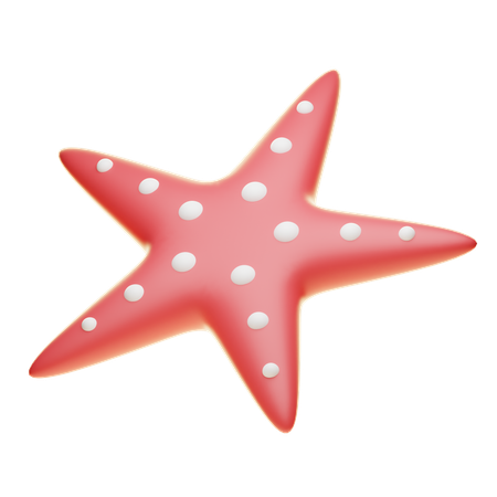 Starfish  3D Icon