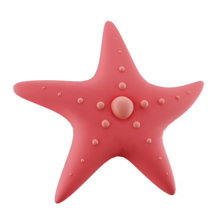 Starfish  3D Icon