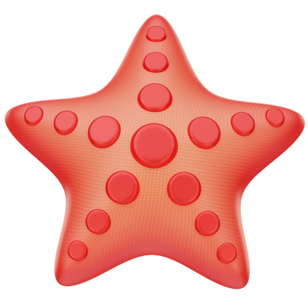 Starfish  3D Icon