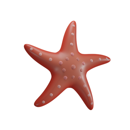 Starfish  3D Icon