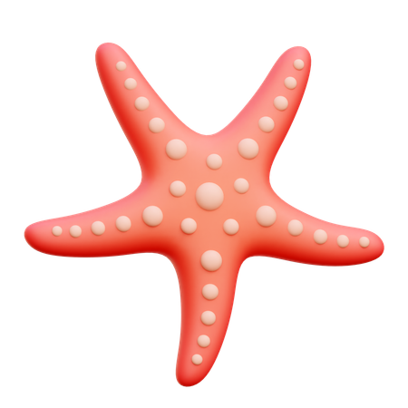 Starfish  3D Icon