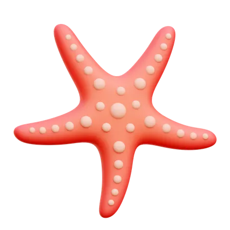 Starfish  3D Icon