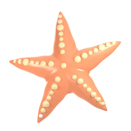 Starfish  3D Icon