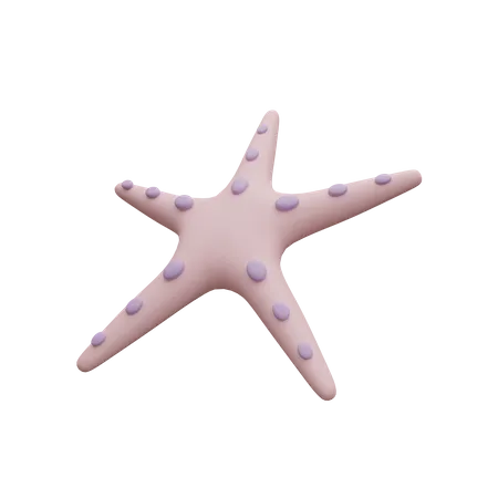 Starfish  3D Icon