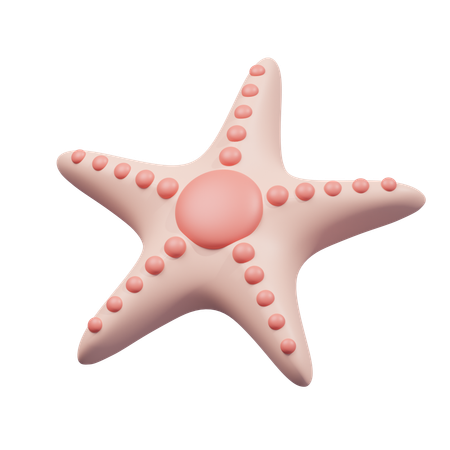 Starfish  3D Icon