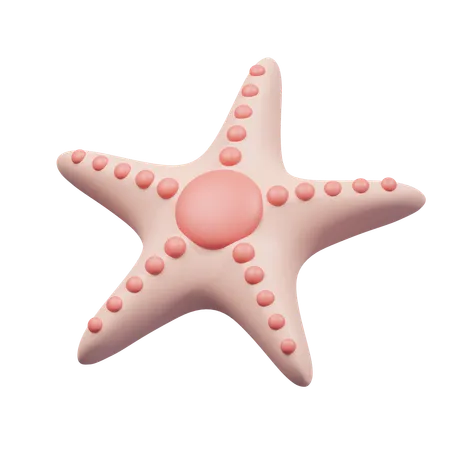 Starfish  3D Icon