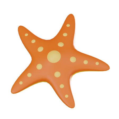Starfish  3D Icon