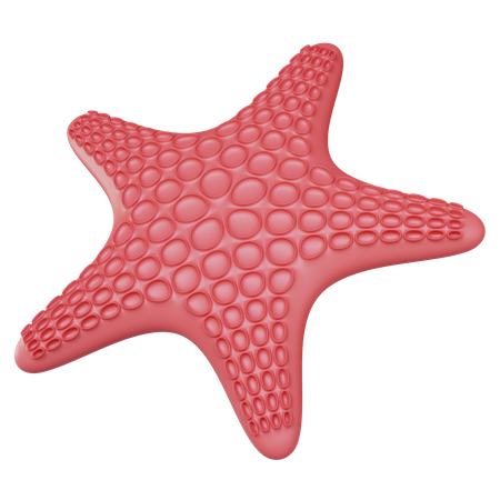 Starfish  3D Illustration