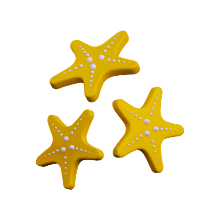 Starfish  3D Illustration