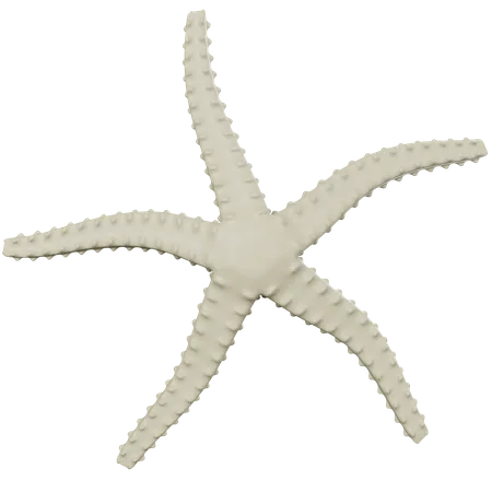 3 D Starfish Illustration 3D Icon