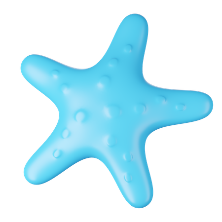 STARFISH  3D Icon