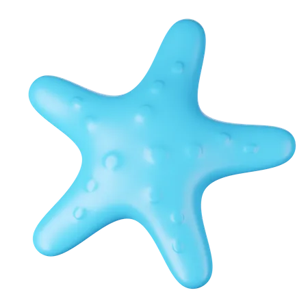 STARFISH  3D Icon