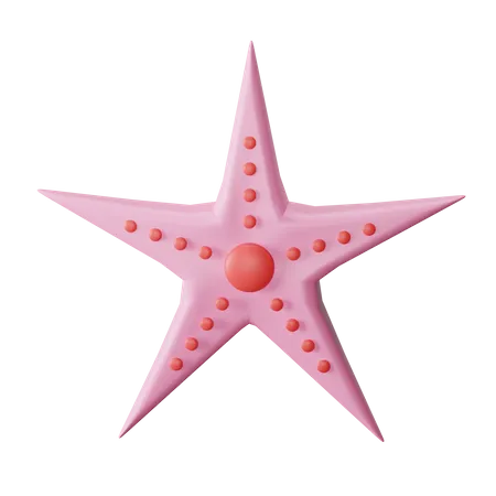 Starfish  3D Icon