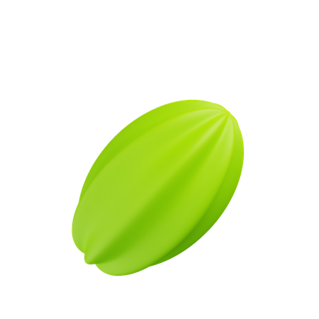 Starfruit  3D Illustration