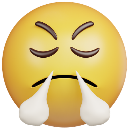 Steaming Angry Emoji  3D Icon
