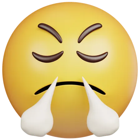 Steaming Angry Emoji  3D Icon