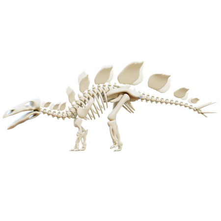 Stegosaurus  3D Icon