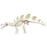 Stegosaurus