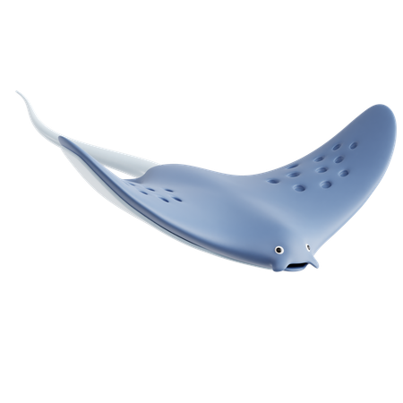 Stingray  3D Icon