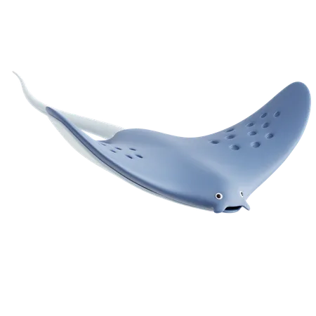 Stingray  3D Icon