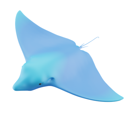 Stingray  3D Icon