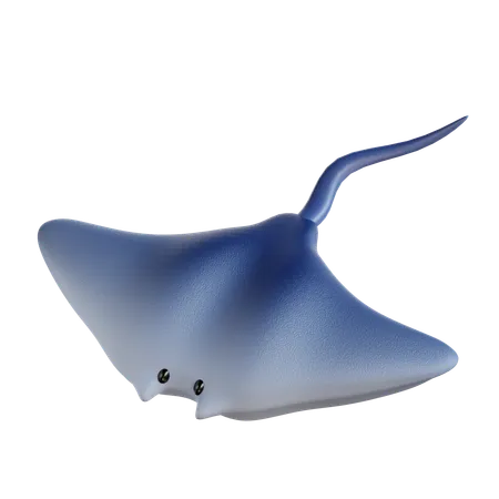 Stingray  3D Icon