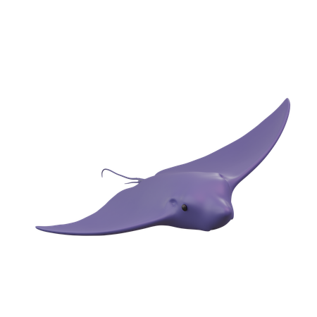 Stingray  3D Icon