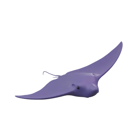 Stingray  3D Icon