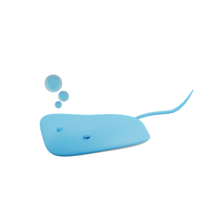 Stingray  3D Illustration