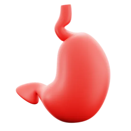 Stomach Organ Human Body Digestive System Medical Hospital 3 D Icon Illustration Render Design 3D Icon