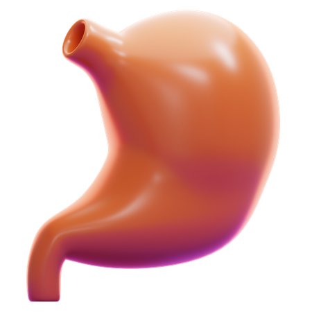 STOMACH  3D Icon